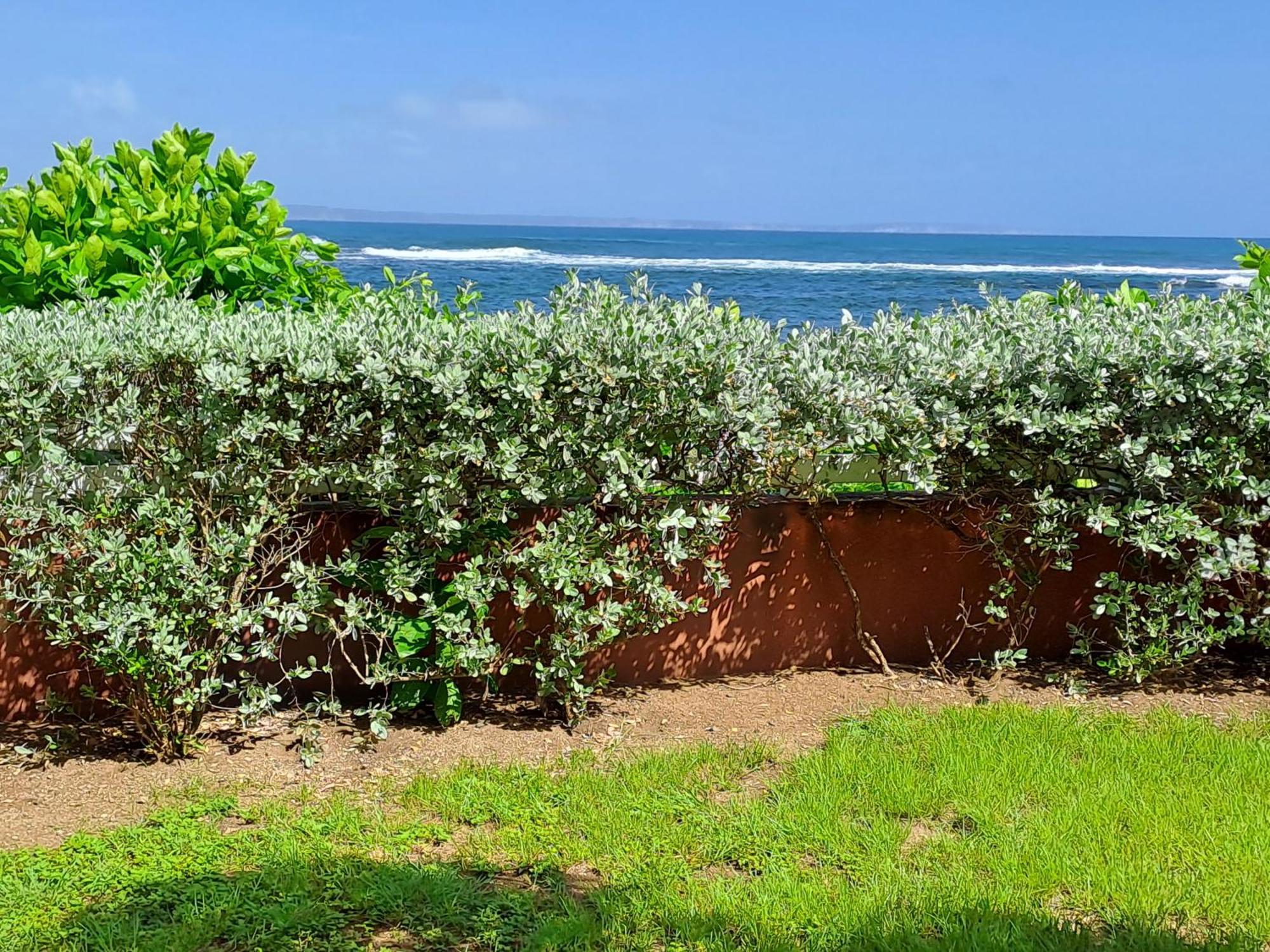 Rdc Appartement En Bord De Mer Au Son Des Vagues Le Moule Luaran gambar